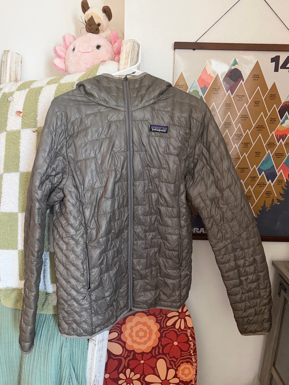 Patagonia Micropuff Hoodie